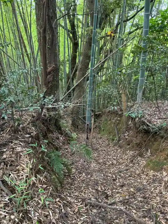 月読神社(千葉県)