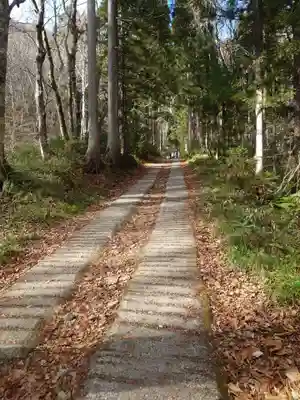 戸隠神社奥社(長野県)