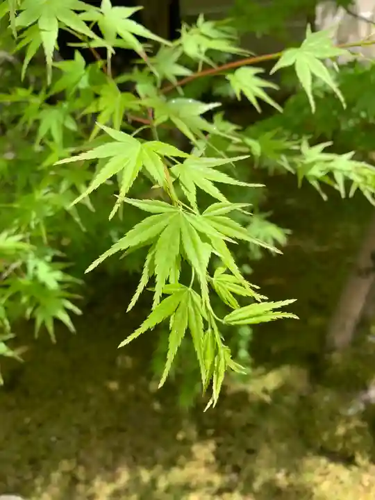 禅林寺(永観堂)(京都府)