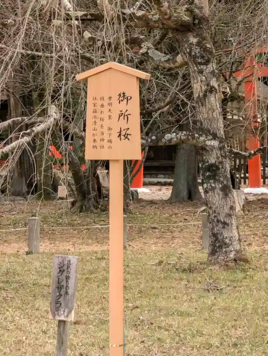 賀茂別雷神社(上賀茂神社)の{uncategorized: "未分類", other: "その他", undefined: "問題あり", building: "その他建物", grave: "お墓", sacred_gate: "鳥居", guardian: "狛犬", statue: "像", buddha: "仏像", history: "歴史", nature: "自然", garden: "庭園", animal: "動物", pagoda: "塔", temizu: "手水舎", mountain_gate: "山門・神門", sanctuary: "本殿・本堂", subordinate: "末社・摂社", art: "芸術", scenery: "景色", jizo: "地蔵", ema: "絵馬", goshuin: "御朱印", omikuji: "おみくじ", items: "授与品その他", amulet: "お守り", goshuincho: "御朱印帳", eats: "食事", festival: "お祭り", votive_dance: "神楽", shichigosan: "七五三参", wedding: "結婚式", experience: "体験その他", initially: "初詣", around: "周辺", anti_infection: "感染症対策"}
