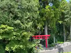 須山浅間神社(静岡県)