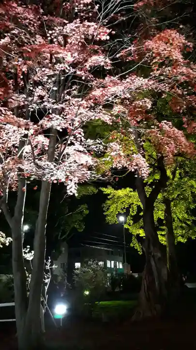 北広島市総鎮守 廣島神社のその他建物