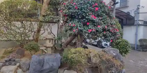 正円寺(東京都)