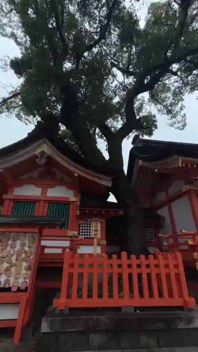 宇佐神宮(大分県)