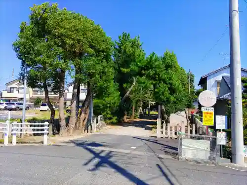 勝幡神社の自然