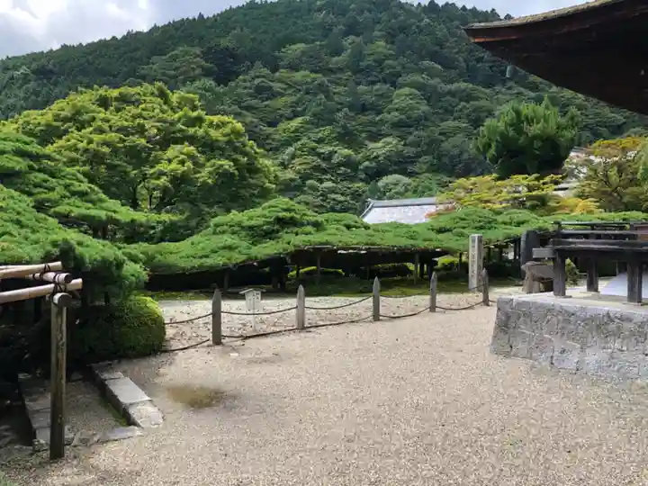 善峯寺(京都府)