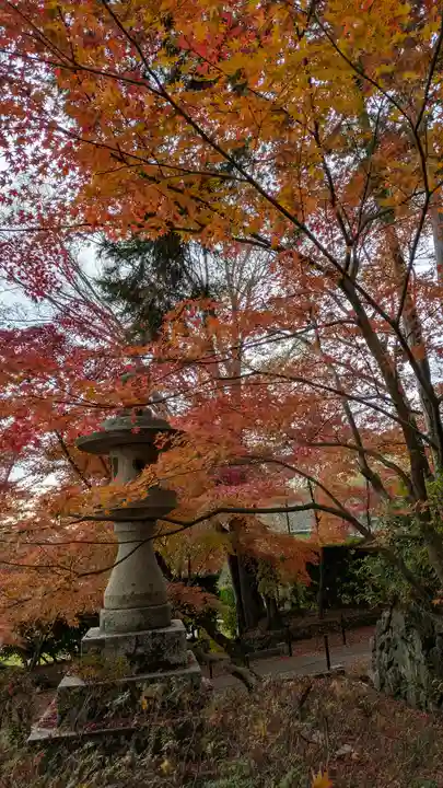 光明寺(粟生光明寺)(京都府)