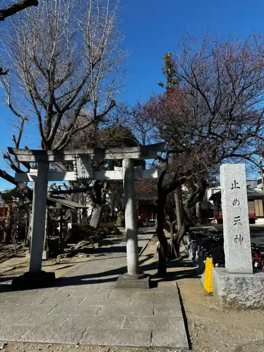 北野天神(仲六郷北野神社)の{uncategorized: "未分類", other: "その他", undefined: "問題あり", building: "その他建物", grave: "お墓", sacred_gate: "鳥居", guardian: "狛犬", statue: "像", buddha: "仏像", history: "歴史", nature: "自然", garden: "庭園", animal: "動物", pagoda: "塔", temizu: "手水舎", mountain_gate: "山門・神門", sanctuary: "本殿・本堂", subordinate: "末社・摂社", art: "芸術", scenery: "景色", jizo: "地蔵", ema: "絵馬", goshuin: "御朱印", omikuji: "おみくじ", items: "授与品その他", amulet: "お守り", goshuincho: "御朱印帳", eats: "食事", festival: "お祭り", votive_dance: "神楽", shichigosan: "七五三参", wedding: "結婚式", experience: "体験その他", initially: "初詣", around: "周辺", anti_infection: "感染症対策"}