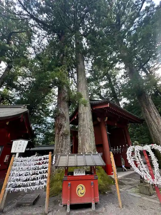 宇都宮二荒山神社(栃木県)