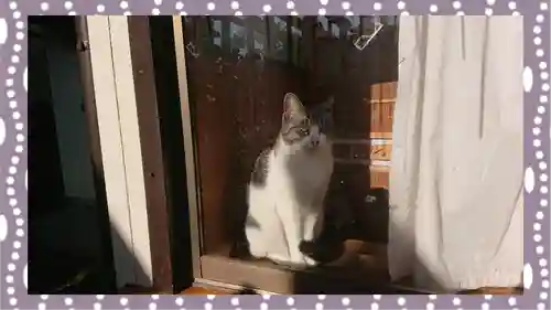 於菊稲荷神社(群馬県)