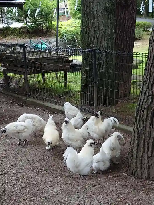 身曾岐神社の動物