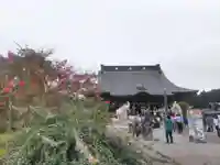 長福寿寺のお祭り