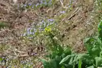 鹿股神社の自然