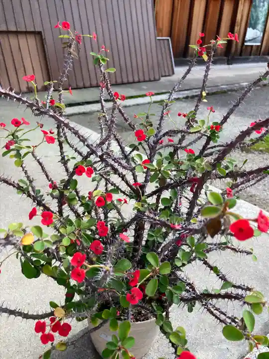 伊豆神社(滋賀県)