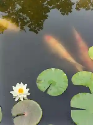 丹生大師 神宮寺の庭園