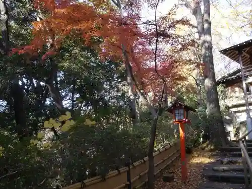 明王院（満願寺別院）の自然