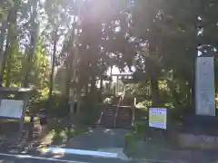 居多神社の建物その他