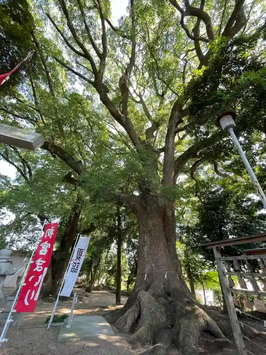 飯野神社(三重県)