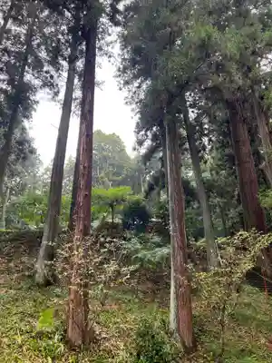大宮温泉神社(栃木県)