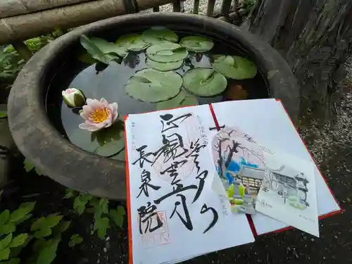 長泉院(埼玉県)