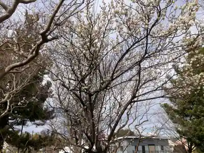 下長津田神社(神奈川県)