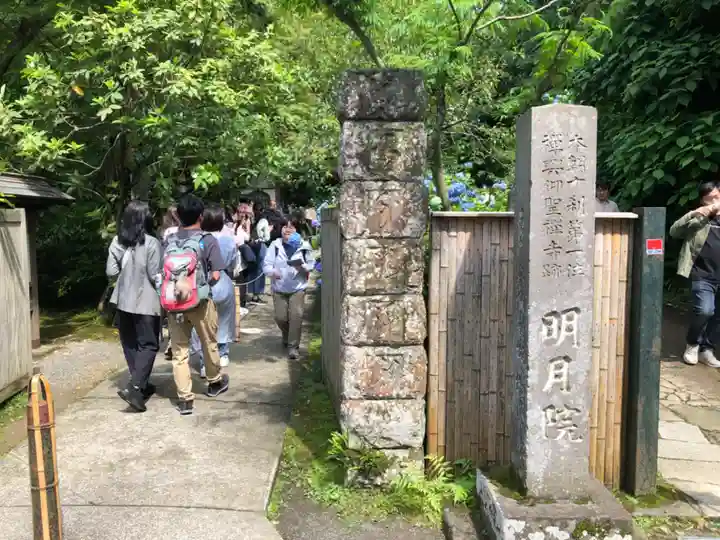 明月院(神奈川県)