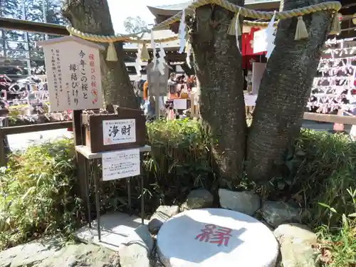 櫻木神社の自然