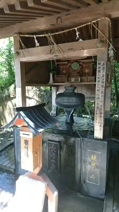 疋野神社の手水舎