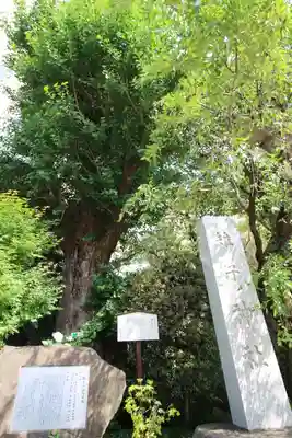 雉子神社(東京都)