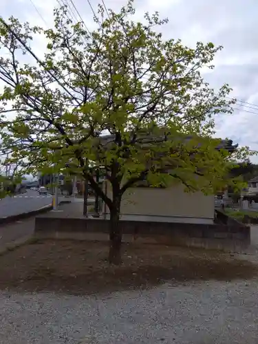 児泉神社(埼玉県)