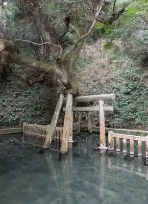 奥宮(鹿島神宮摂社)(茨城県)