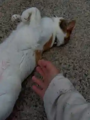 潮音寺(神奈川県)