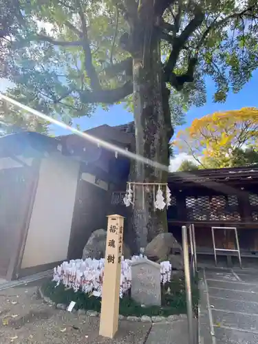 護王神社(京都府)