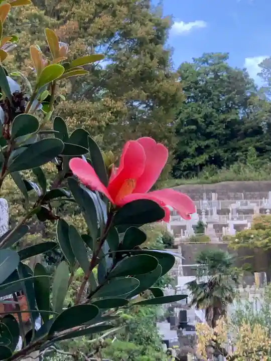 横浜 西方寺(神奈川県)