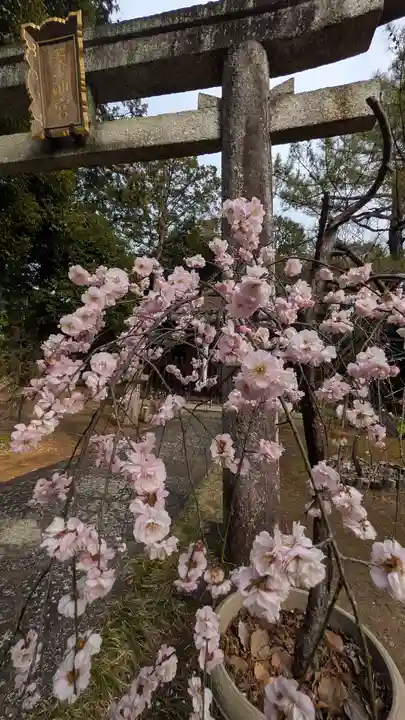 新日吉神宮(京都府)