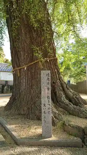 丹生酒殿神社の自然