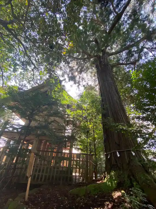 須佐神社(島根県)