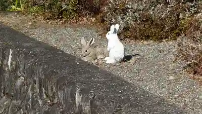 日蓮宗 総本山 塔頭 定林坊(じょうりんぼう)(山梨県)
