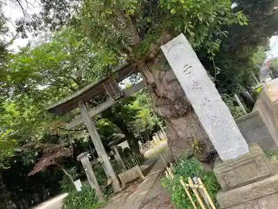 畑子安神社(千葉県)