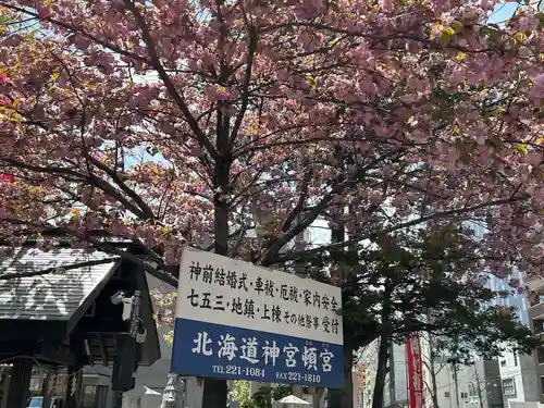 北海道神宮頓宮の自然