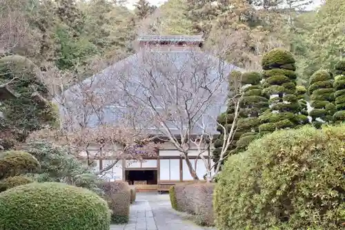 安楽寺の建物その他