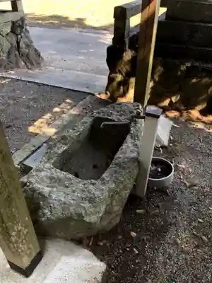 麻續神社の手水舎