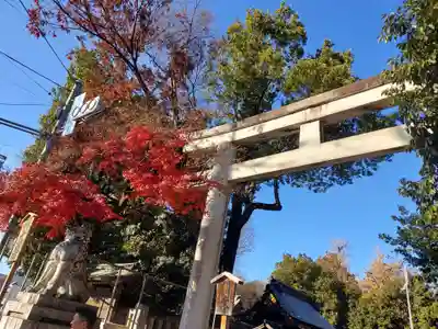 秩父神社の鳥居