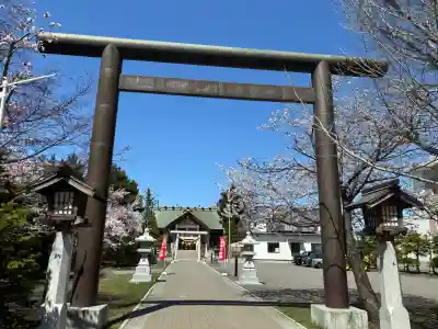 烈々布神社の{uncategorized: "未分類", other: "その他", undefined: "問題あり", building: "その他建物", grave: "お墓", sacred_gate: "鳥居", guardian: "狛犬", statue: "像", buddha: "仏像", history: "歴史", nature: "自然", garden: "庭園", animal: "動物", pagoda: "塔", temizu: "手水舎", mountain_gate: "山門・神門", sanctuary: "本殿・本堂", subordinate: "末社・摂社", art: "芸術", scenery: "景色", jizo: "地蔵", ema: "絵馬", goshuin: "御朱印", omikuji: "おみくじ", items: "授与品その他", amulet: "お守り", goshuincho: "御朱印帳", eats: "食事", festival: "お祭り", votive_dance: "神楽", shichigosan: "七五三参", wedding: "結婚式", experience: "体験その他", initially: "初詣", around: "周辺", anti_infection: "感染症対策"}