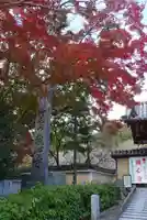 観心寺のその他建物