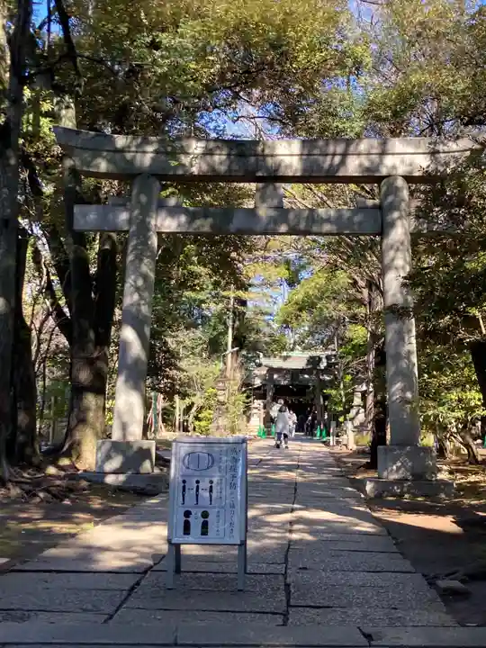 赤坂氷川神社の鳥居