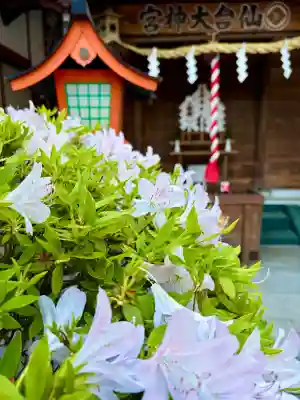 仙台大神宮の{uncategorized: "未分類", other: "その他", undefined: "問題あり", building: "その他建物", grave: "お墓", sacred_gate: "鳥居", guardian: "狛犬", statue: "像", buddha: "仏像", history: "歴史", nature: "自然", garden: "庭園", animal: "動物", pagoda: "塔", temizu: "手水舎", mountain_gate: "山門・神門", sanctuary: "本殿・本堂", subordinate: "末社・摂社", art: "芸術", scenery: "景色", jizo: "地蔵", ema: "絵馬", goshuin: "御朱印", omikuji: "おみくじ", items: "授与品その他", amulet: "お守り", goshuincho: "御朱印帳", eats: "食事", festival: "お祭り", votive_dance: "神楽", shichigosan: "七五三参", wedding: "結婚式", experience: "体験その他", initially: "初詣", around: "周辺", anti_infection: "感染症対策"}