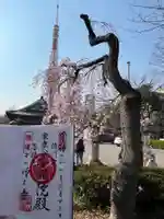 増上寺の御朱印