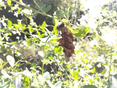 瑞源寺(福井県)