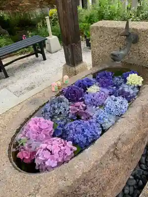 水堂須佐男神社の手水舎